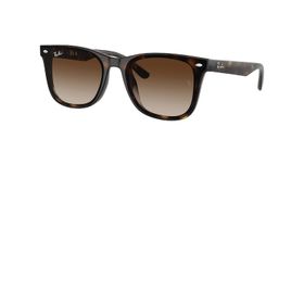 Ray-Ban 0RB4420 710/13 65 Unisex Güneş Gözlüğü
