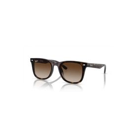 Ray-Ban 0RB4420 710/13 65 Unisex Güneş Gözlüğü