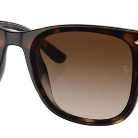 Ray-Ban 0RB4420 710/13 65 Unisex Güneş Gözlüğü