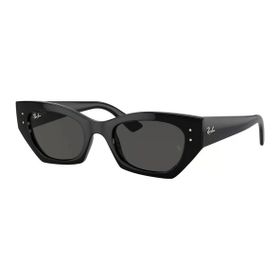 Ray-Ban 0RB4430 667787 49 Siyah Unisex Güneş Gözlüğü