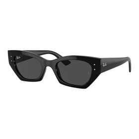 Ray-Ban 0RB4430 667787 49 Siyah Unisex Güneş Gözlüğü