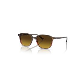 Ray-Ban 2193 138085 53 Unisex Güneş Gözlüğü