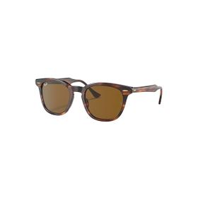 Ray-Ban 2298 954/33 50-21 Unisex Güneş Gözlüğü
