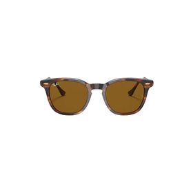 Ray-Ban 2298 954/33 52 Unisex Güneş Gözlüğü