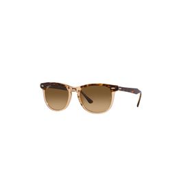 Ray-Ban 2398 1292M2 53 Unisex Güneş Gözlüğü