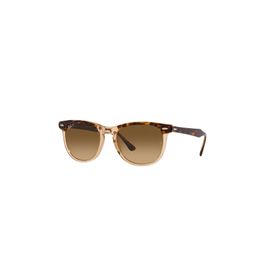 Ray-Ban 2398 1292M2 53 Unisex Güneş Gözlüğü