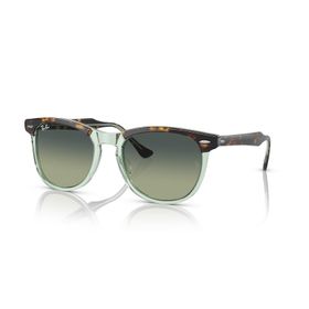 Ray-Ban 2398 1376BH 56 Unisex Güneş Gözlüğü