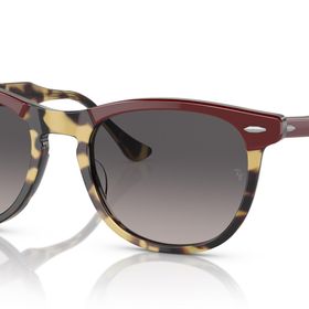 Ray-Ban 2398 1377M3 56 Unisex Güneş Gözlüğü