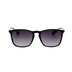 Ray-Ban 4187 622-8G Unisex Güneş Gözlüğü