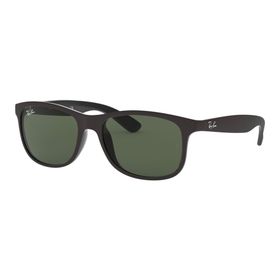 Ray-Ban 4202 606971 55 Unisex Güneş Gözlüğü