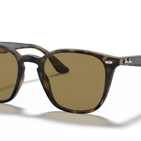 Ray-Ban 4258 710/73 Unisex Güneş Gözlüğü