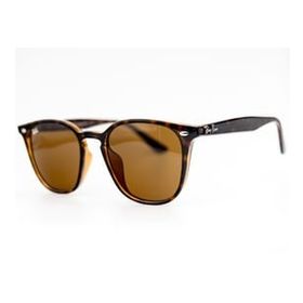 Ray-Ban 4258 710/73 Unisex Güneş Gözlüğü