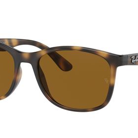 Ray-Ban 4374 710/33 56 Kahverengi Erkek Güneş Gözlüğü