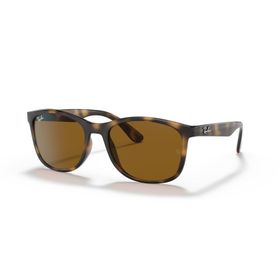 Ray-Ban 4374 710/33 56 Kahverengi Erkek Güneş Gözlüğü