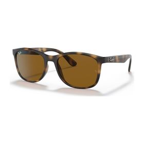 Ray-Ban 4374 710/33 56 Kahverengi Erkek Güneş Gözlüğü