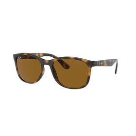 Ray-Ban 4374 710/33 Erkek Güneş Gözlüğü