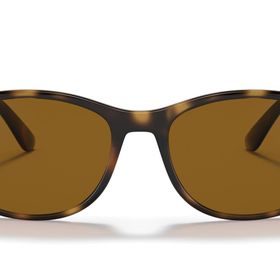 Ray-Ban 4374 710/33 Erkek Güneş Gözlüğü