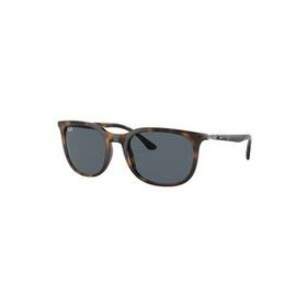 Ray-Ban 4386 710/R5 54 Kahverengi Unisex Güneş Gözlüğü