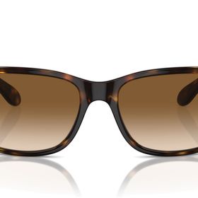 Ray-Ban 4388 710/51 55 Unisex Güneş Gözlüğü