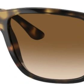 Ray-Ban 4547 710/51 60-18 Unisex Güneş Gözlüğü