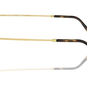 Ray-Ban Ray-Ban RB3447 001/G5 50 Unisex Güneş Gözlüğü