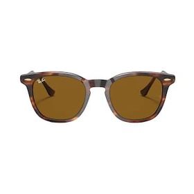Ray-Ban RB 2298 954/33 52 Erkek Güneş Gözlüğü