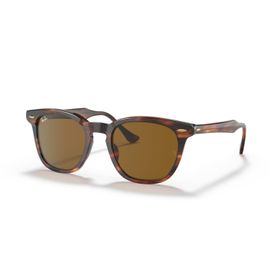 Ray-Ban RB 2298 954/33 52 Erkek Güneş Gözlüğü