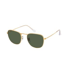 Ray-Ban RB 3857 9196/31 48-20/140 Frank Unisex Güneş Gözlüğü