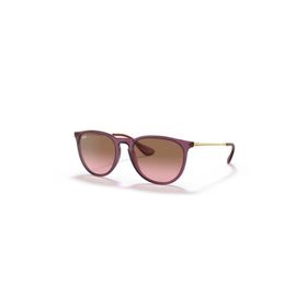 Ray-Ban RB 4171 659114 54 Erika Kadın Güneş Gözlüğü