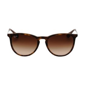 RAY-BAN RB 4171 ERIKA 6083/5A Güneş Gözlüğü