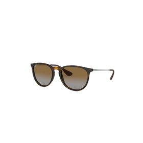 RAY-BAN RB 4171 ERIKA 6083/5A Güneş Gözlüğü