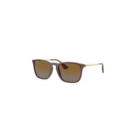 Ray-Ban RB 4187 54 6593T5 Erkek Güneş Gözlüğü