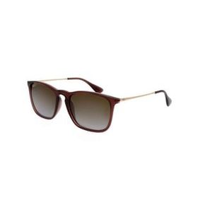 Ray-Ban RB 4187 54 6593T5 Erkek Güneş Gözlüğü