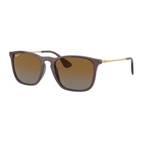 Ray-Ban RB 4187 54 6593T5 Erkek Güneş Gözlüğü
