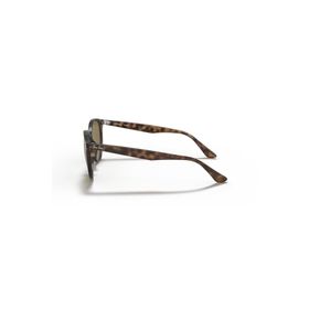 Ray-Ban Rb 4305 53 710/73 Kadın Güneş Gözlüğü