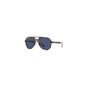 Ray-Ban RB 4376 710/80 57 Erkek Güneş Gözlüğü