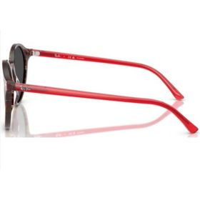 Ray-Ban RB2230 141948 51 Polarize Unisex Güneş Gözlüğü
