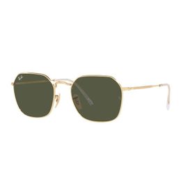 Ray-Ban RB3694 001/31 53 Unisex Güneş Gözlüğü