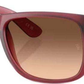 Ray-Ban RB4165 6815A5 55 Erkek Güneş Gözlüğü