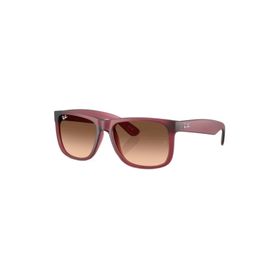 Ray-Ban RB4165 6815A5 55 Erkek Güneş Gözlüğü