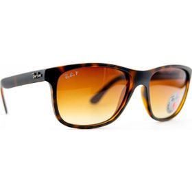 Ray-Ban RB4181 710 13 Polarize Unisex Güneş Gözlüğü