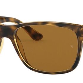Ray-ban RB4181710-8357 Unisex Günes Gözlügü
