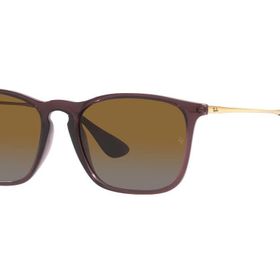 Ray-Ban RB4187 6593T5 54 Polarize Unisex Güneş Gözlüğü