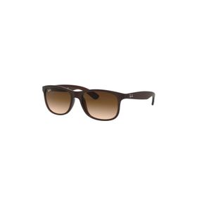 Ray-Ban RB4202 55 6073-13 Erkek Güneş Gözlüğü