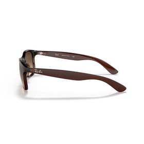 Ray-Ban Rb4202 607313 Erkek Güneş Gözlüğü
