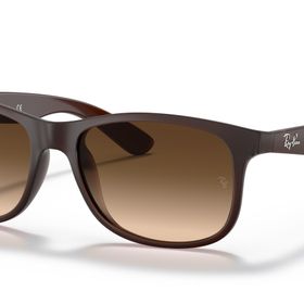 Ray-Ban Rb4202 607313 Erkek Güneş Gözlüğü