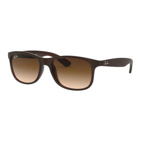 Ray-Ban Rb4202 607313 Erkek Güneş Gözlüğü