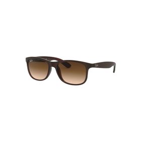 Ray-Ban Rb4202 607313 Erkek Güneş Gözlüğü