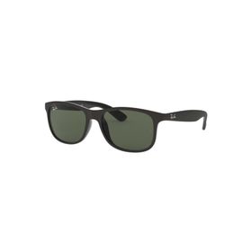 Ray-Ban RB4202606971 Unisex Güneş Gözlüğü