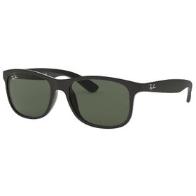 Ray-Ban RB4202606971 Unisex Güneş Gözlüğü